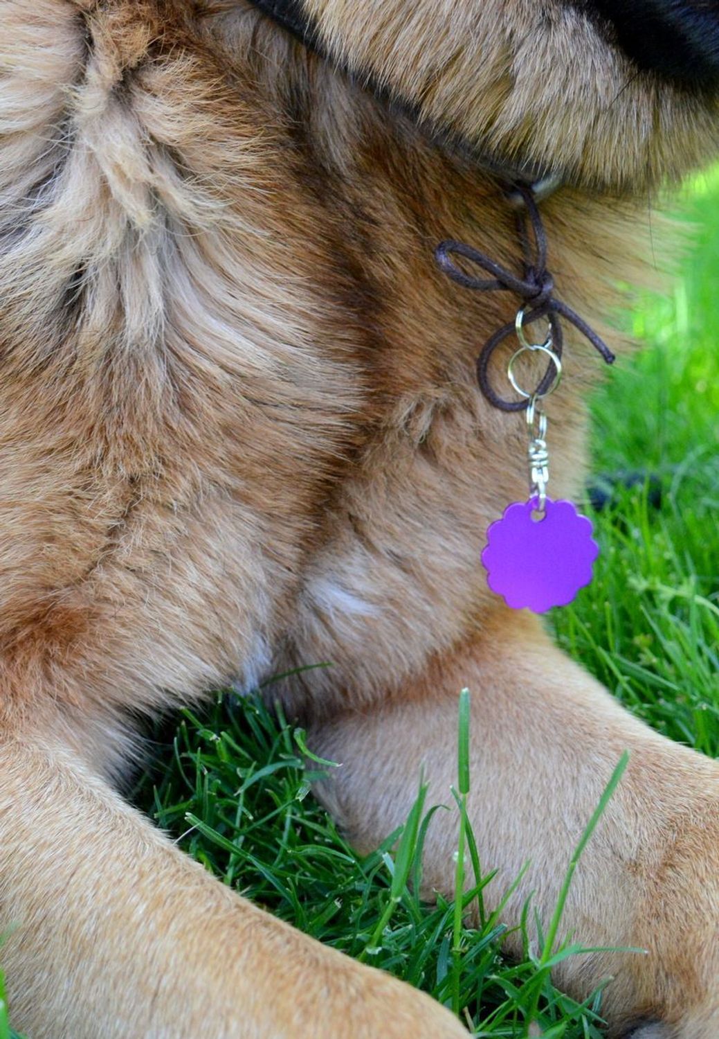 Blaszka dla pupila kwiatek 3 cm z miejscem na grawer Kwiatek purple L. Blaszka w formie adresówki, identyfikatora dla psa. Blaszka z miejscem na grawer. Na adresówce możemy wygrawerować np. imię psa i nr telefonu do właścicie.jpg